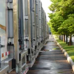 Row of trucks beside green trees