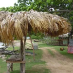 Rustic thatched shelter by the beach
