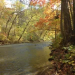 Serene riverbank with colorful fall foliage