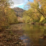 Tranquil autumn creek and foliage