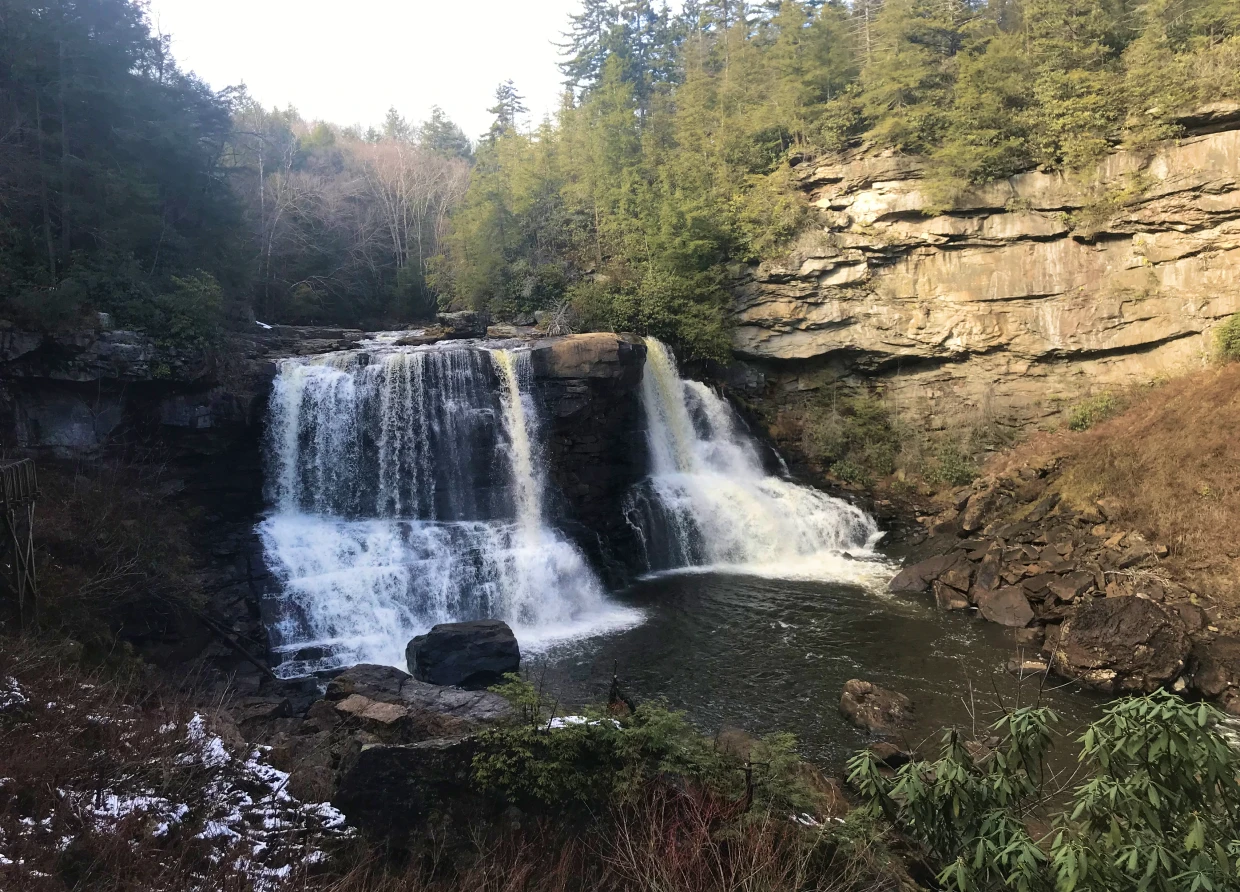 Scenic waterfall surrounded by forest