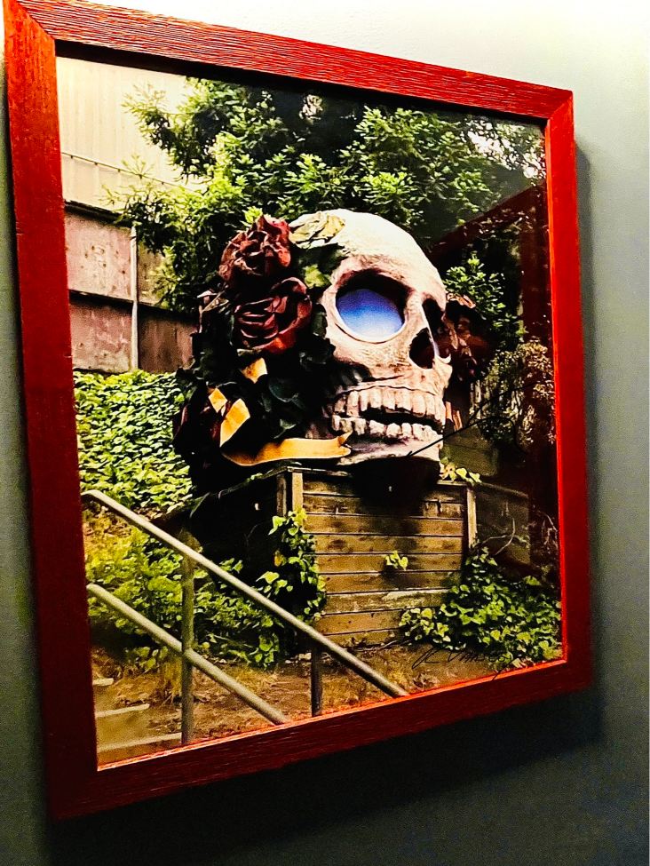 Framed photo of a skull adorned with flowers outdoors.