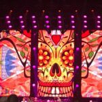 Vibrant sugar skull artwork illuminated with bright pink and orange lights.