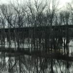 Flooded area with bare trees and a bridge in the background.