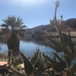 A desert lake surrounded by cacti and rocky hills under a clear sky.