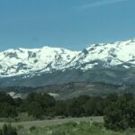Snow-capped mountains under a clear blue sky with green trees in the foreground.