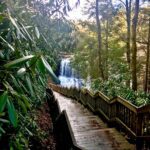 Wooden stairs leading down to a serene waterfall surrounded by lush forest.