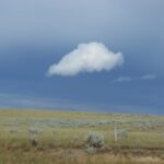 A single white cloud floats over a grassy plain under a blue sky.