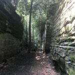 Narrow rocky canyon pathway with trees overhead and sunlight filtering through.
